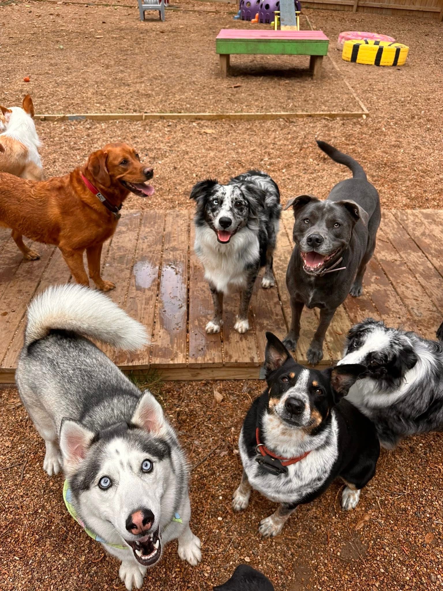 the ranch woodlands magnolia tx