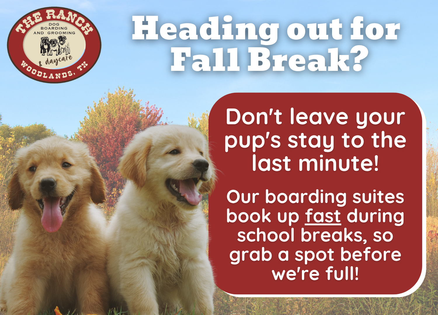 Fall Break Pop-Up